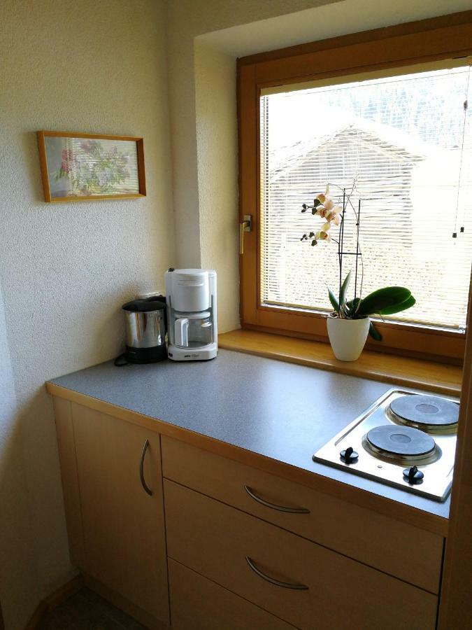 Apartmán Haus Holzer Kals-am Großglockner Exteriér fotografie
